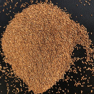 Hạt giống KIWI Thiểm Tây/Trung Quốc - 1 túi 500g