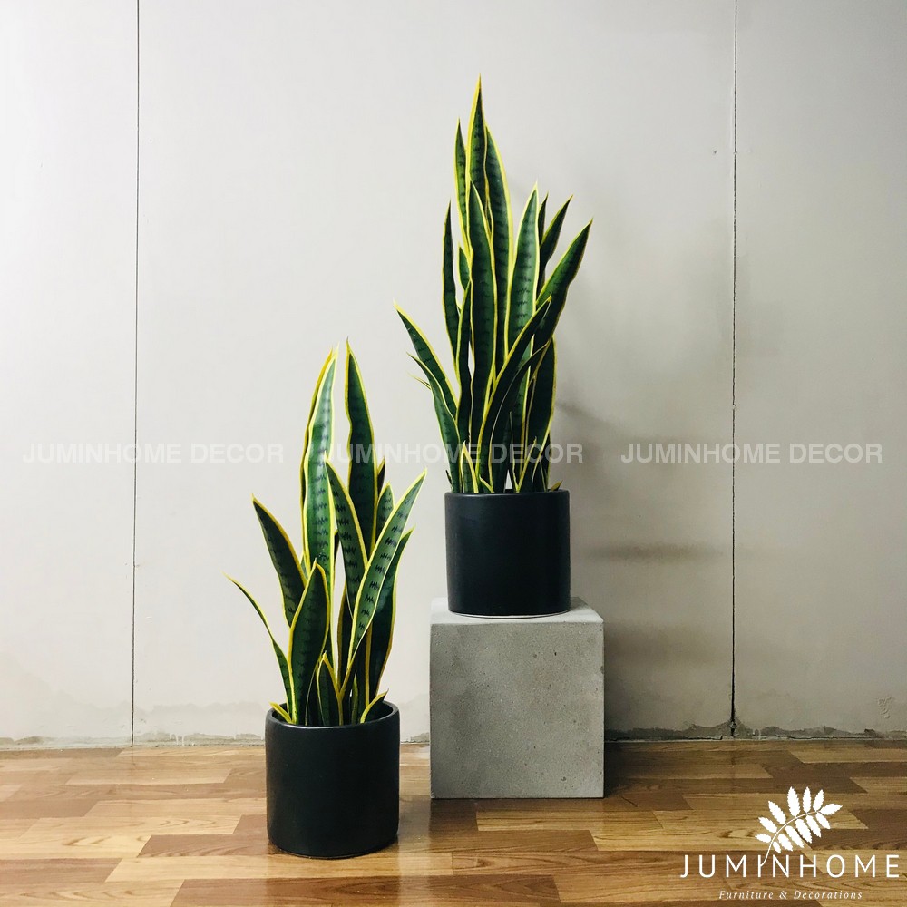 Cây giả, Cây lưỡi hổ giả - Cây giả decor trang trí nhà cửa nội thất phòng khách phòng ngủ