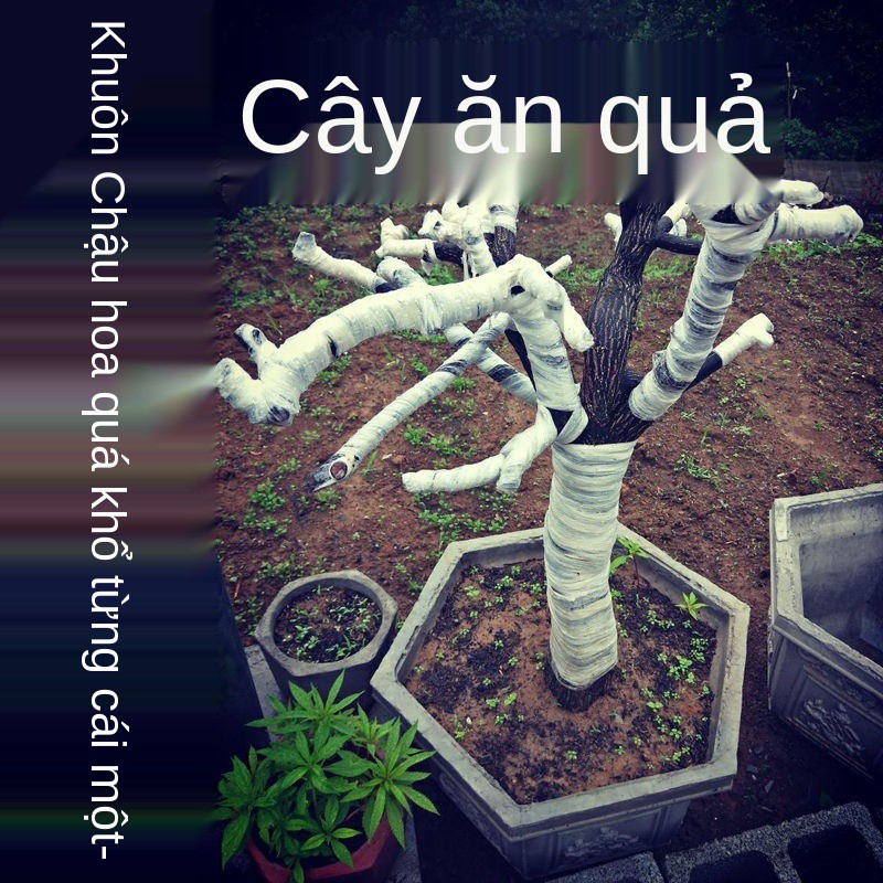 ■▣﹍Lọ hoa lục giác bát khuôn chậu bê tông xi măng tự chế đúc tại chỗ dày mới cây cảnh nhựa mài mòn gia dụng