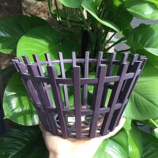 10 chậu nhựa giả gỗ trồng lan fi 20