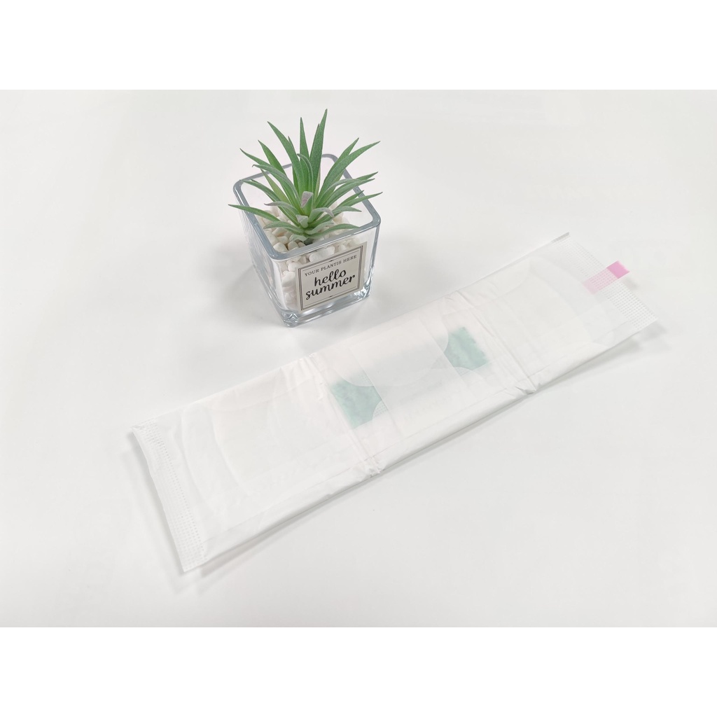 [FreeShip] 2 gói Băng vệ sinh Napee ngày 29cm 10 miếng/gói siêu mỏng, siêu thấm hút, Anion chip kháng khuẩn