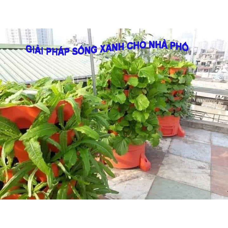 Tp Thủ Đức HCM. Giá sỉ Tháp trồng rau hữu cơ Eco VN, thùng trồng rau thông minh USAtoa