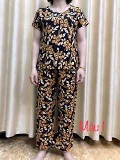Bộ lanh trung niên