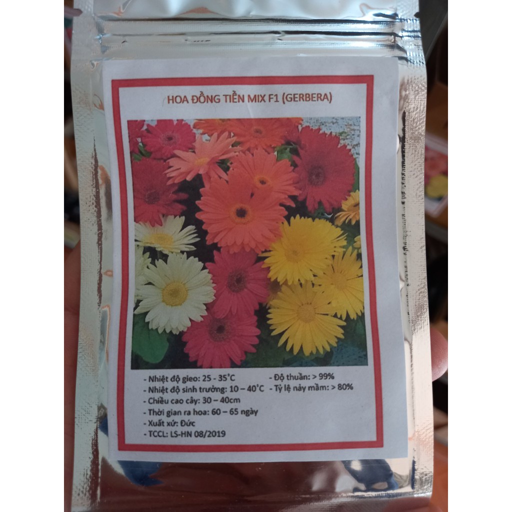 Gói 30 HẠT GIỐNG HOA ĐỒNG TIỀN CAO MIX MÀU  giá sỉ
