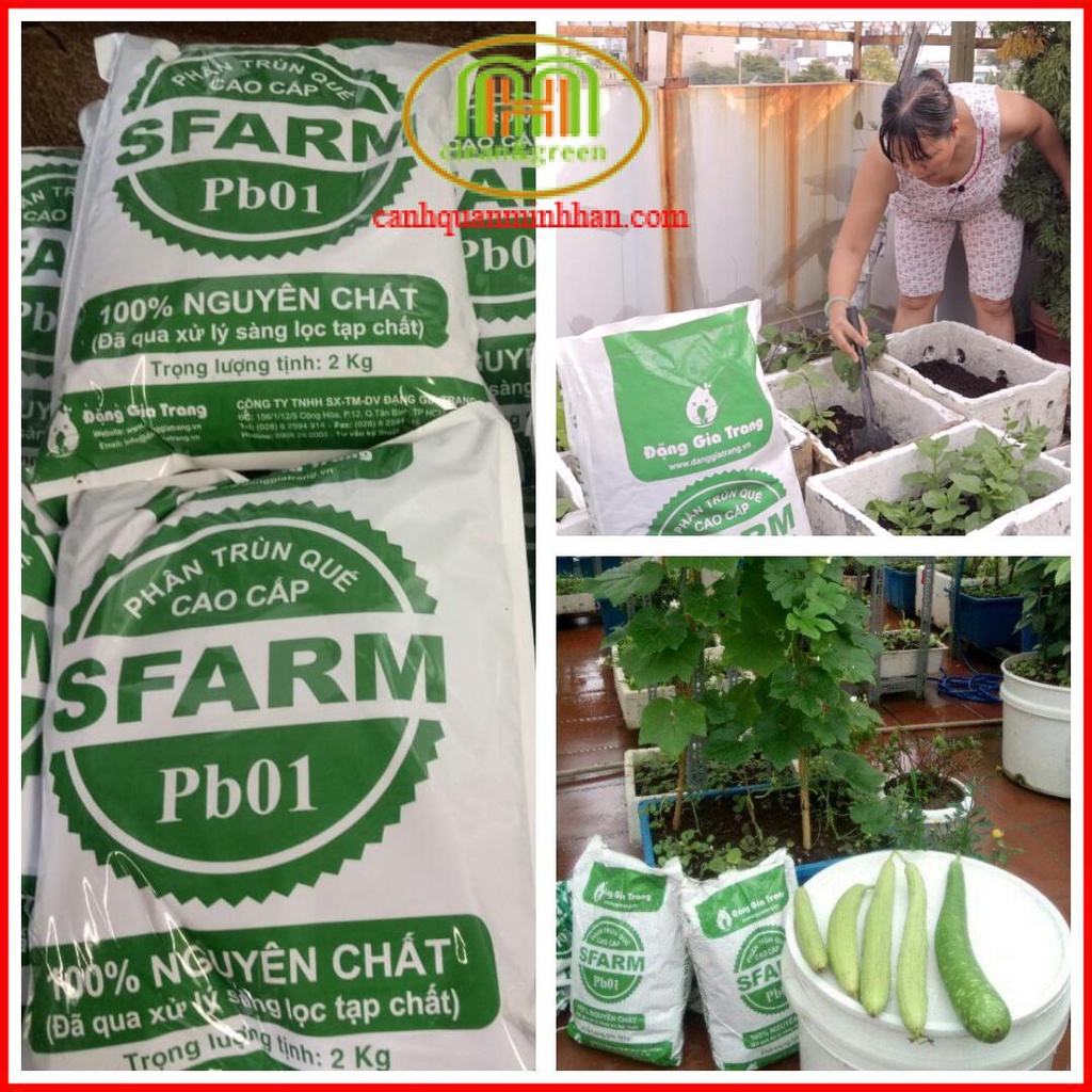 5 KG Phân trùn quế Sfarm bón rau sạch và trồng cây cảnh