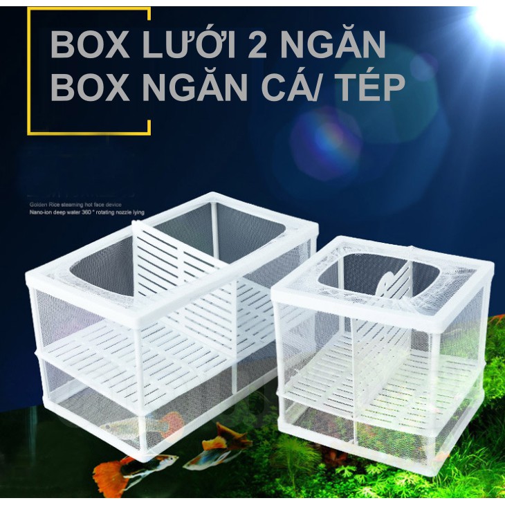 Box Lưới - Lồng Cách Ly, Dưỡng Cá Tép Bằng Vải Lưới