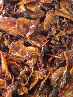 Mực rim Quy Nhơn- Giá sĩ hấp dẫn