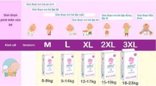 Bỉm quần trần nanu size L 100m