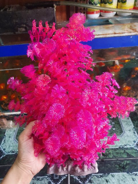 RONG GIẢ TRANG TRÍ HỒ CÁ NON BỘ CAO 45CM