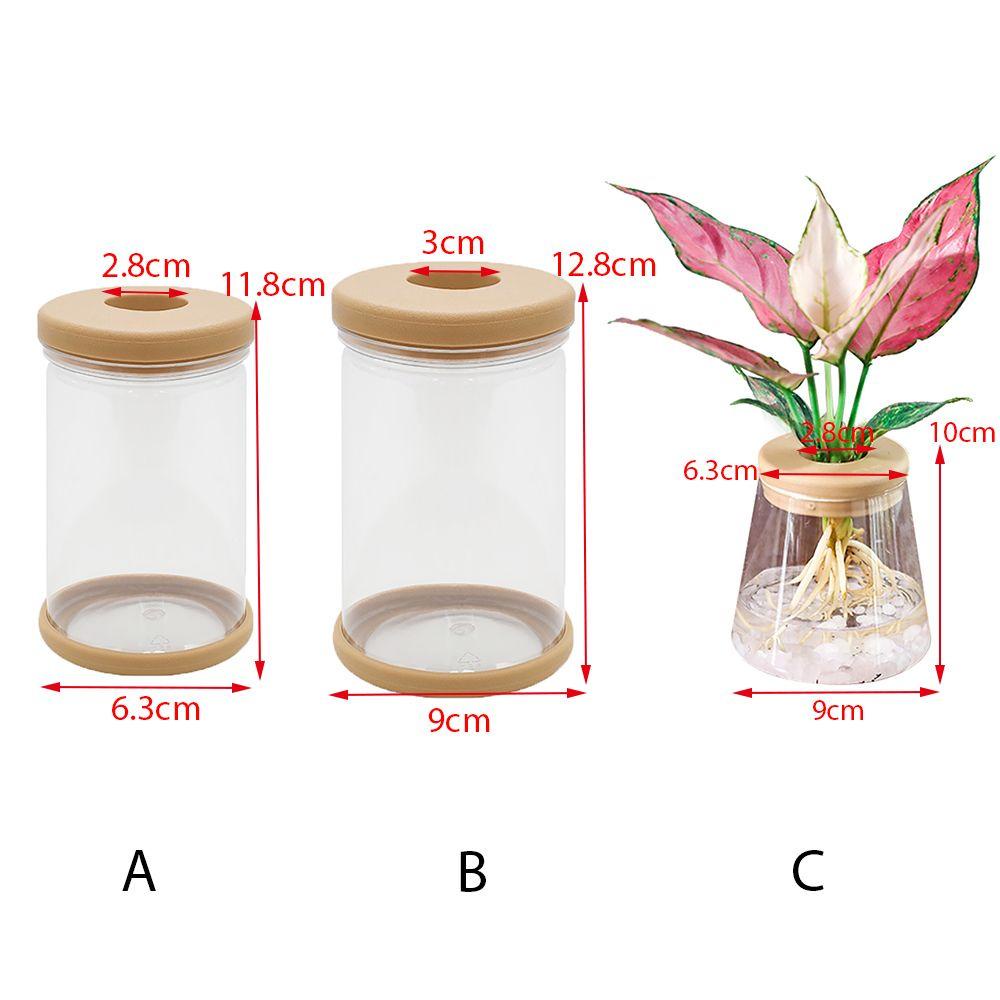 Cây Thủy Tinh Trong Suốt Nhỏ Xinh Tươi Tắn Trang Trí Trong Nhà / Ngoài Trời