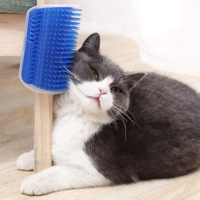 Bàn chải lông cho mèo giúp massage và thư giãn cho chó mèo - quà tặng cỏ Catnip, lược chải lông mèo