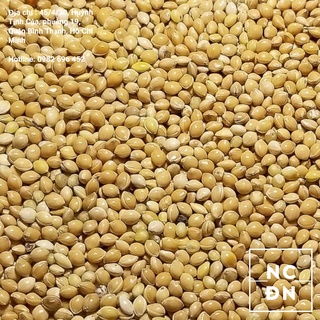 Hạt Kê vàng cho chim/gà/hamster-Ngũ cốc Đặng Nam