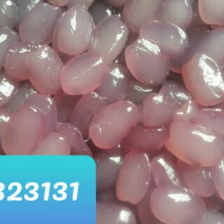 1kg đác rim hoa đậu biếc