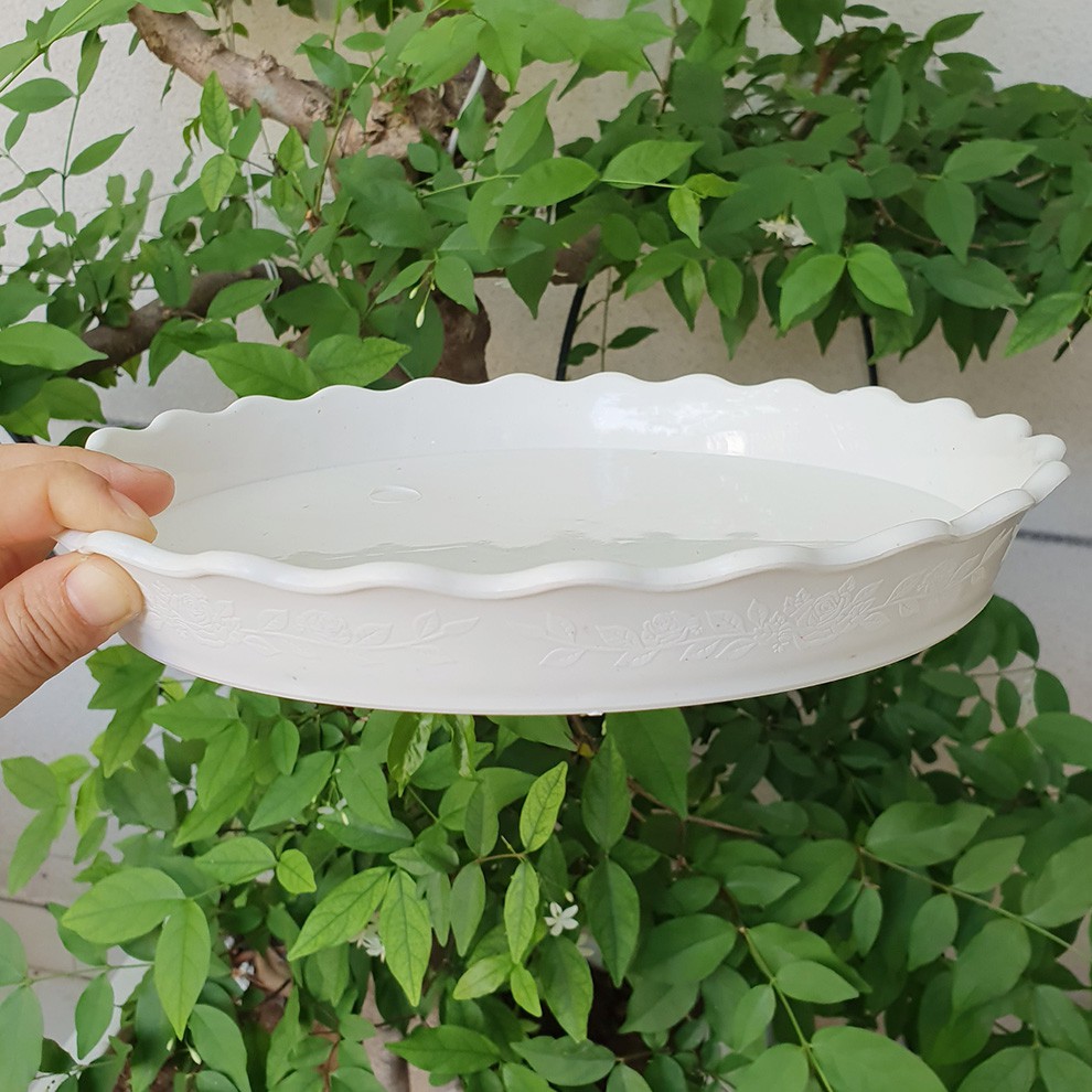 Bộ 5 đĩa lót chậu hoa màu trắng đường kính 26cm