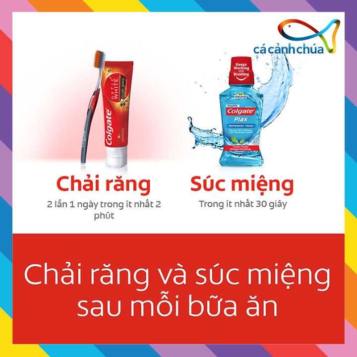 Combo 2 nước súc miệng Colgate diệt 99% vi khuẩn Plax bạc hà 500ml - Thái Lan