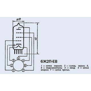 Bóng đèn GU81