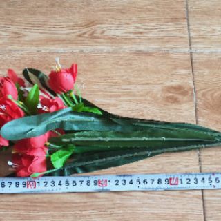 Hoa đỗ quyên 5 nhánh 30k