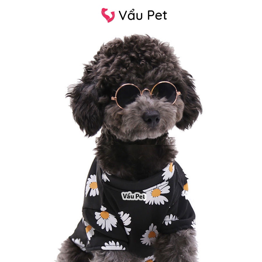 Kính Cho Chó Mèo Thời Trang - Đạo Cụ Chụp Hình Chó Mèo Thú Cưng Vẩu Pet Shop