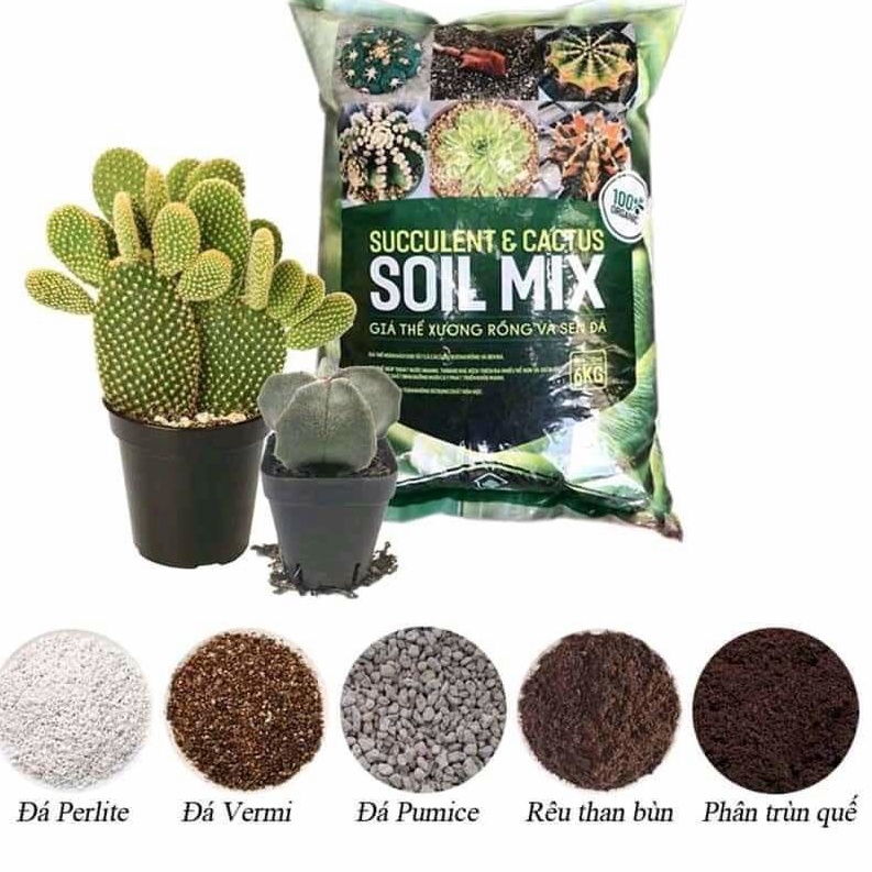 Túi 6kg Giá thể trộn sẵn trồng xương rồng, sen đá, cây mọng nước Soil Mix 100% Organic