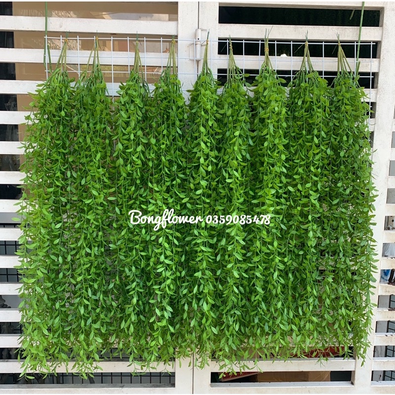 Dây cúc tần Ấn Độ giả dài 100cm, một cụm gồm 5 nhánh trang trí decor siêu đẹp