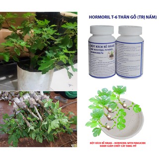 BỘT KÍCH RỄ ISRAEL CÓ TRỊ NẤM (HỦ 100GR) DÙNG NHÂN GIỐNG CÂY THÂN GỖ ĐẠT HIỆU QUẢ TỐI ĐA VÀ SÁT KHUẨN VẾT CẮT