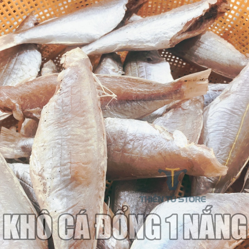 Khô cá đổng Phan Thiết ngon hấp dẫn hải sản khô nổi tiếng , cá dày thịt vị béo thơm ngậy đặc sản biển Thiên Tú Store