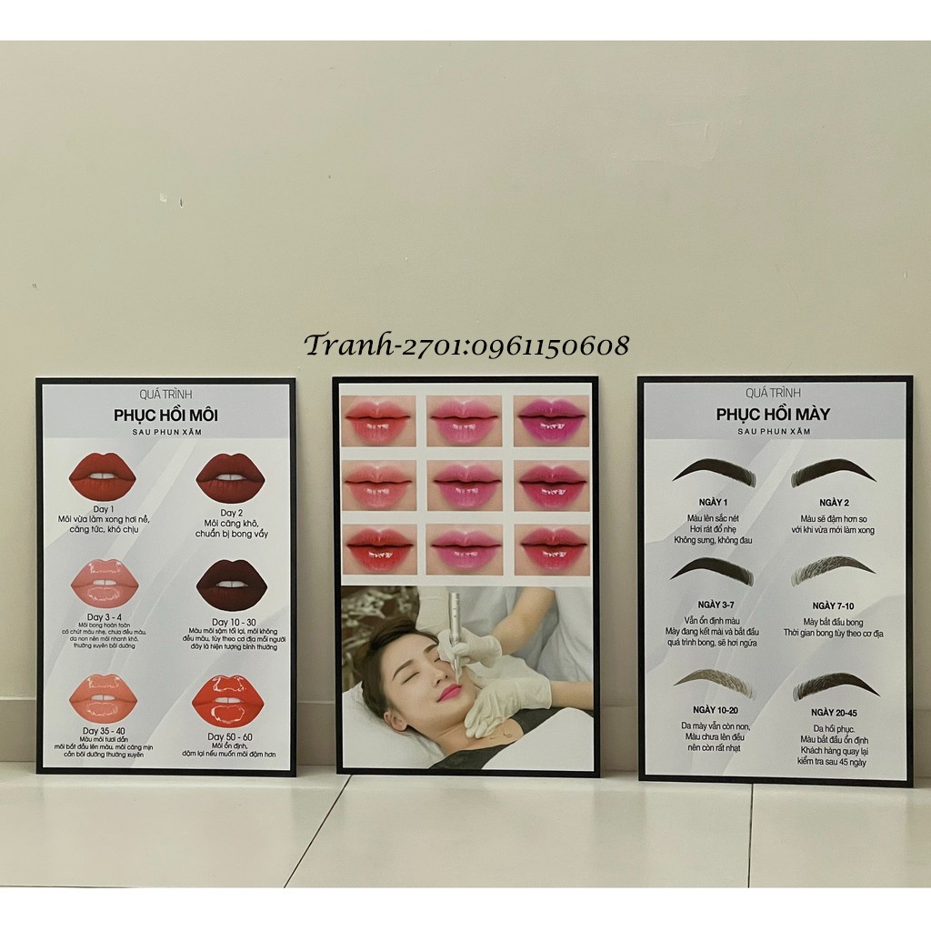 COMBO 3 TRANH SPA, THẨM MỸ VIỆN, PHUN XĂM THẨM MỸ-TRANH QUY TRÌNH PHỤC HỒI MÀY MÔI