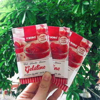 Gelatin hữu cơ làm kẹo dẻo SoBo - Đức 9g
