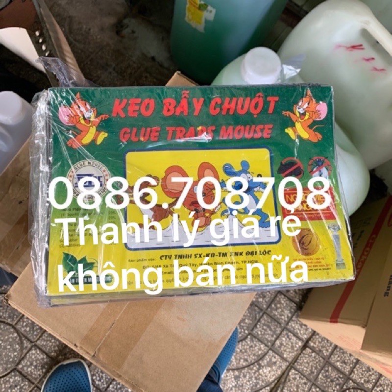 keo dán chuột Đại Lộc 1 miếng