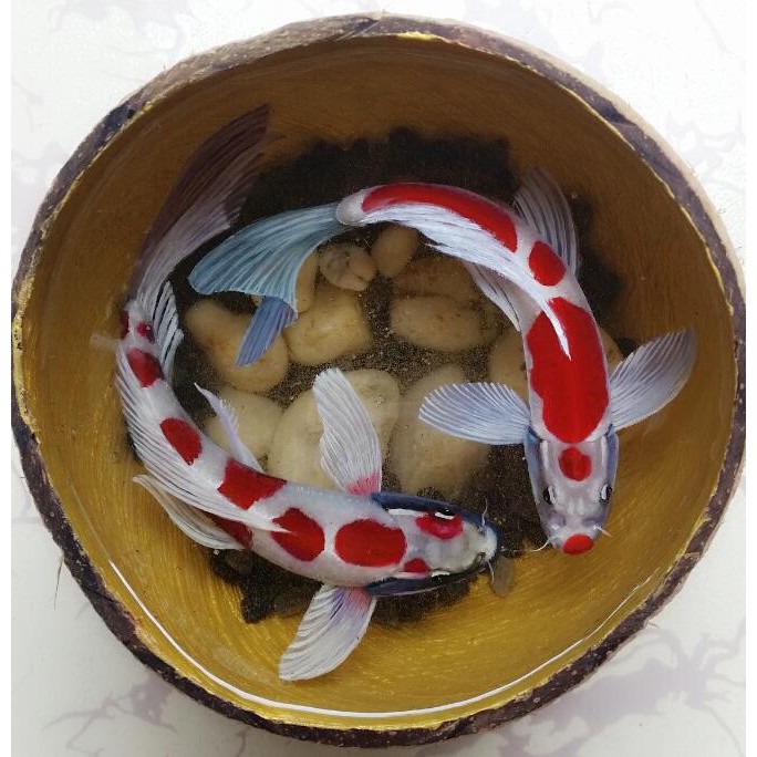 Bộ 900Gram Keo EPOXY RESIN trong suốt hệ 2:1 - KA201 dùng cho sản phẩm dày dưới 1cm