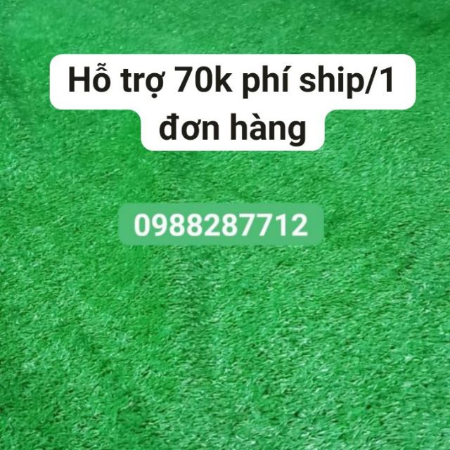 Thảm cỏ nhân tạo 1.5cm miễn ship