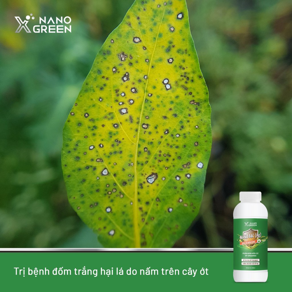 Nano bạc Nano Xgreen cung cấp dưỡng chất, tăng đề khoáng, hỗ trợ cho cây có triệu chứng vàng lá, thối rễ 1000ml