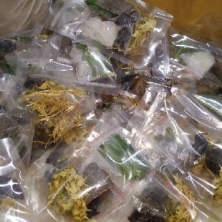 Set nấu Sâm bí đao
