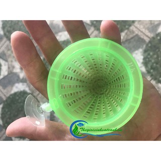 phễu đựng trùn chỉ ( 1 cái )