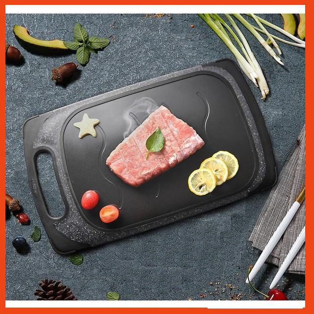 BioStore - Khay Rã Đông 2 mặt tiện lợi Ice Breaker