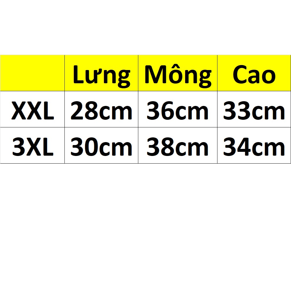 205 - Combo 10 quần lót nữ thun lạnh lưng cao big size Angelavic