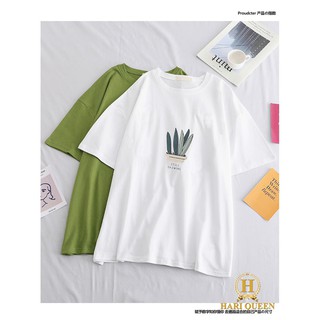 [FREESHIP ĐƠN TỪ 50K] Áo phông chậu cây lá Still HARI0420