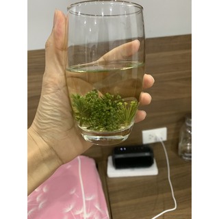 Trà Hoa Nhân Sâm Hàn Quốc, Túi 500gr