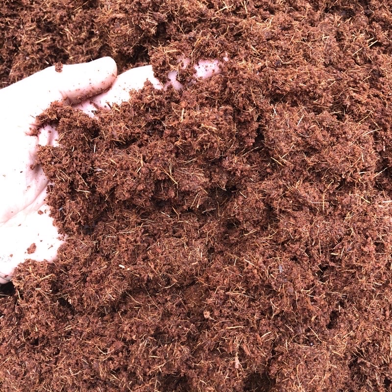Đất nén hữu cơ mụn sơ dừa bánh lớn 450g đã xử lý dùng trồng rau củ quả sạch, hoa cảnh, rau mầm longf1