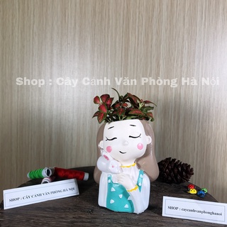 Cây cảnh xương rồng kèm chậu cô gái áo xanh chấm bi thỏ trắng