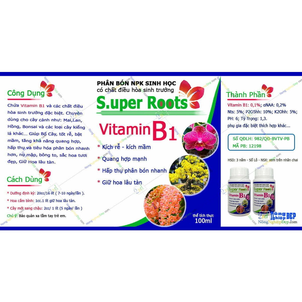[Chính hãng] Vitamin B1 Super Root giúp phục hồi, vươn đọt và tăng sức đề kháng chống chịu hạn cho cây trồng hiệu quả