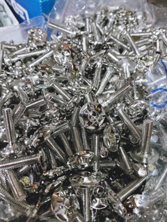 Ốc salaya dù 5ly - 6ly