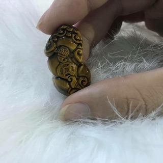 Tỳ hưu phong thủy