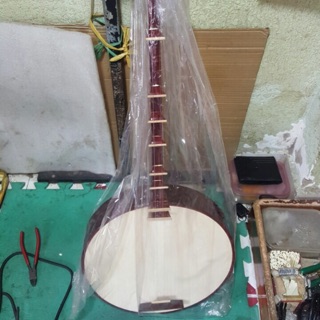 Đàn Nguyệt ( Đàn Kìm)