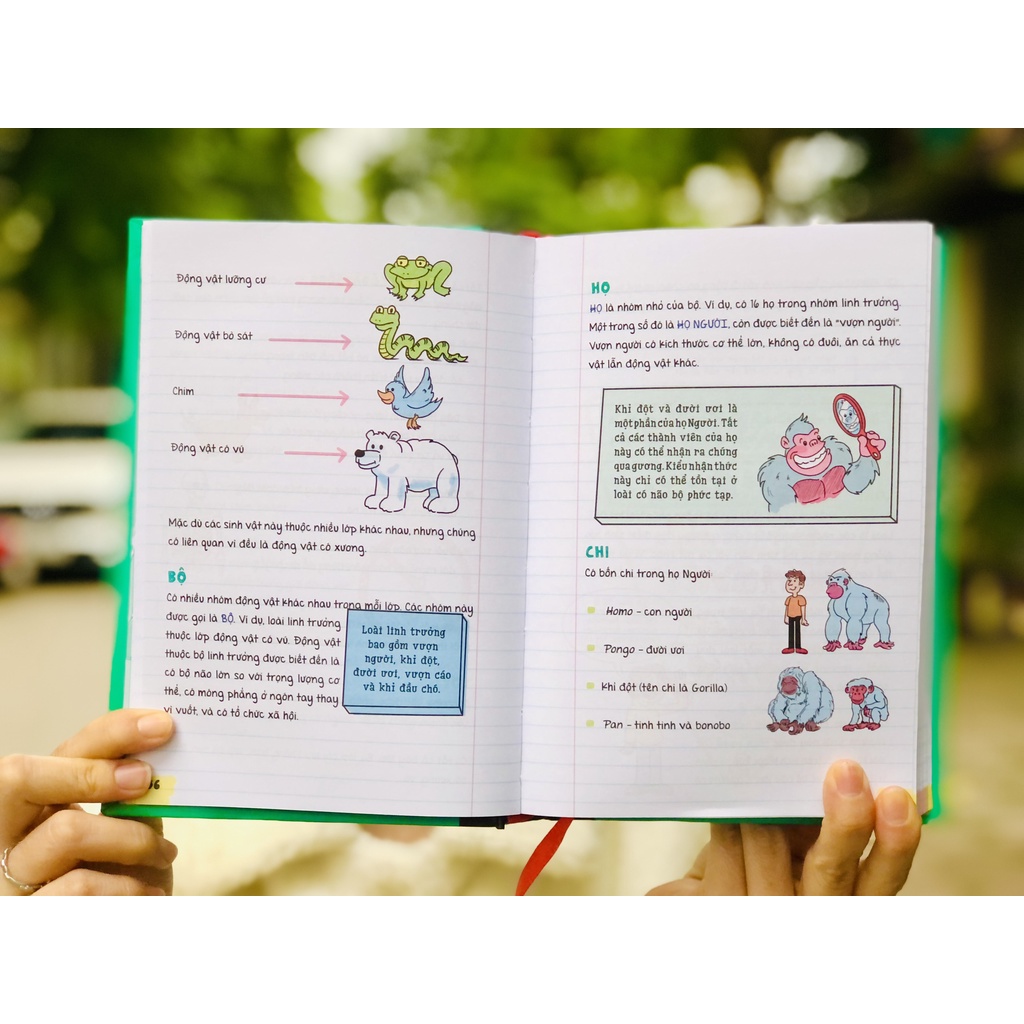 Sách Sổ tay sinh học - Á Châu Books ( lớp 8 - lớp 12 )