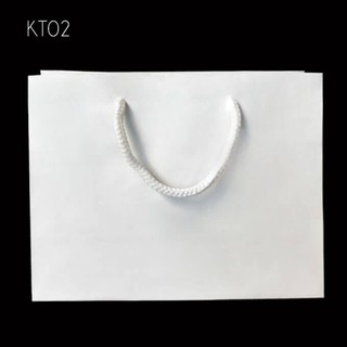 Combo 10 Túi giấy trơn KT02 ( 14 x 18 x 8)