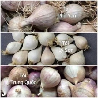Tỏi cô đơn phù yên sơn la hàng bé gói 500g