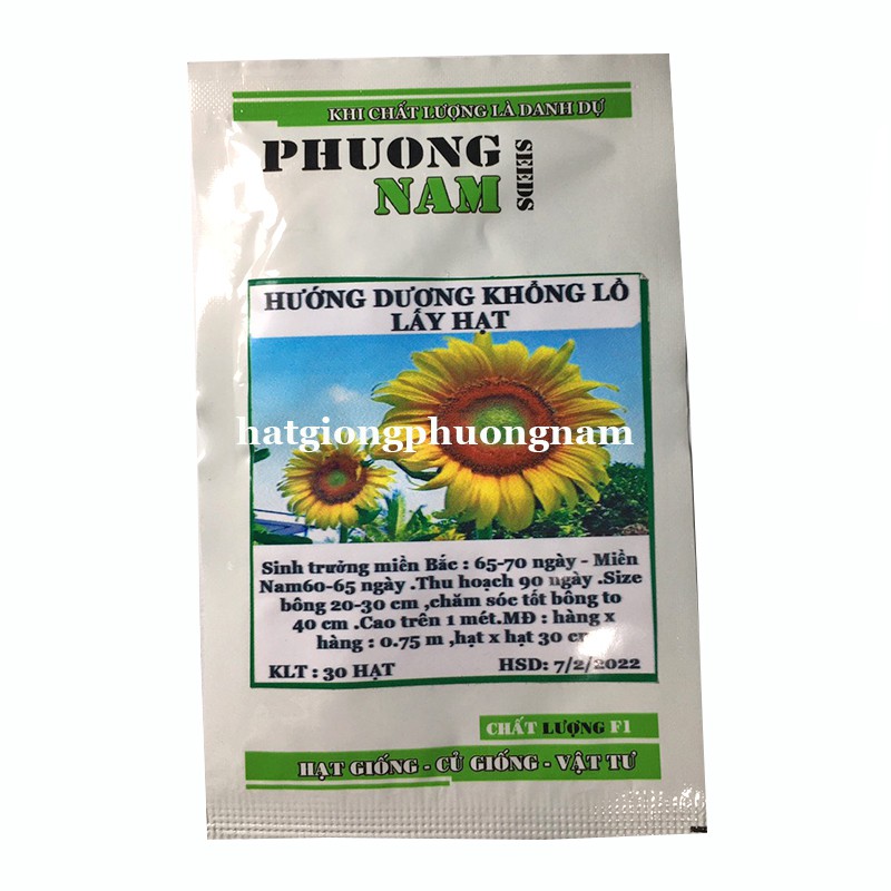 30H - HẠT GIỐNG HƯỚNG DƯƠNG KHỔNG LỒ 20 - 40cm LẤY HẠT