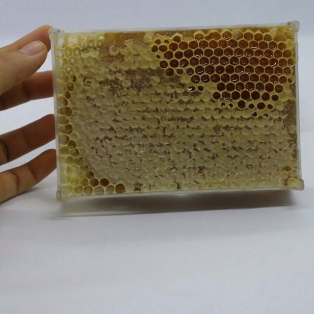 Mật ong rừng nguyên sáp/ nguyên tổ 1000g