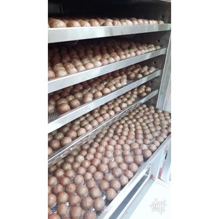 HẠT MẮC CA chất lượng Việt - 1000gr